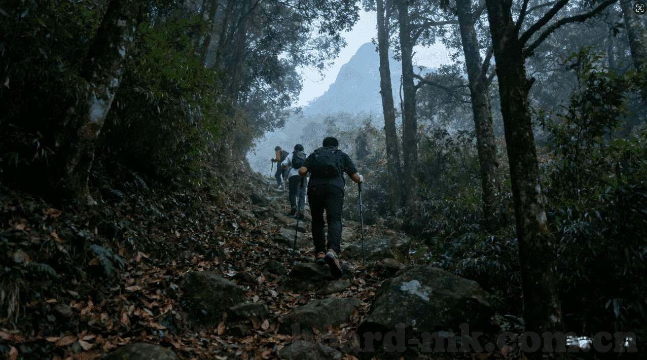 乐鱼体育 官网下载-乐鱼体育官网下载，提升您体育赛事参与体念的指南
